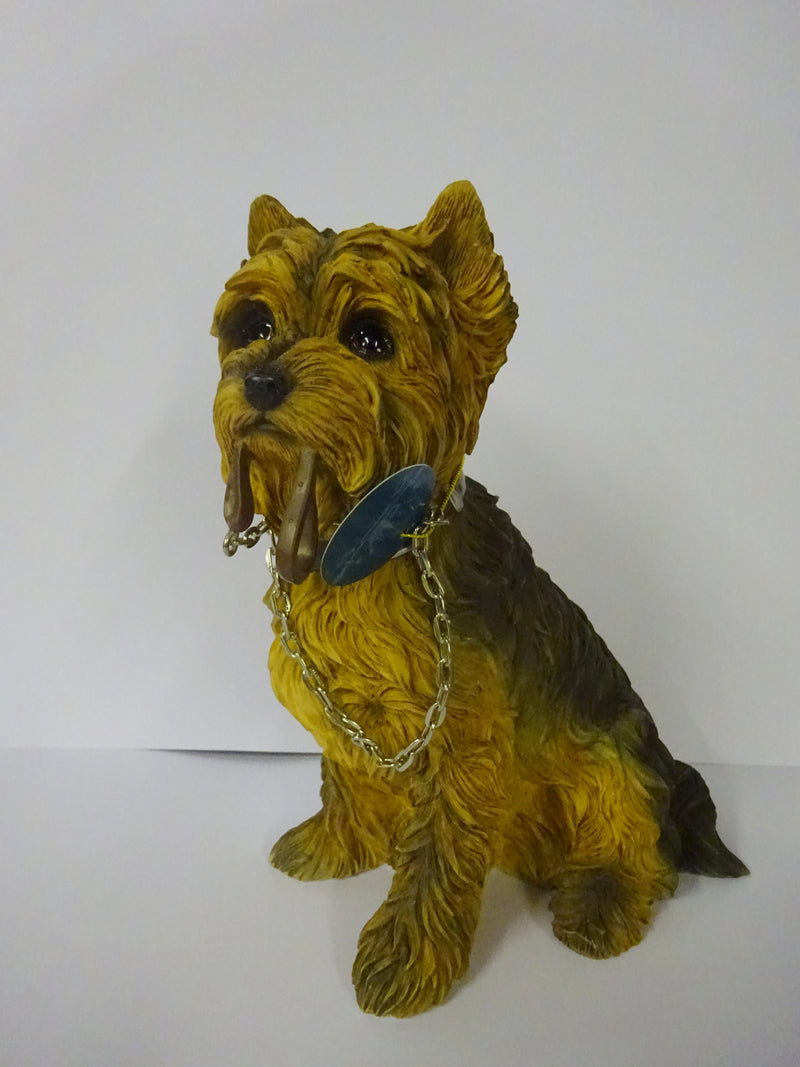 Sitting Yorkshire Terrier
