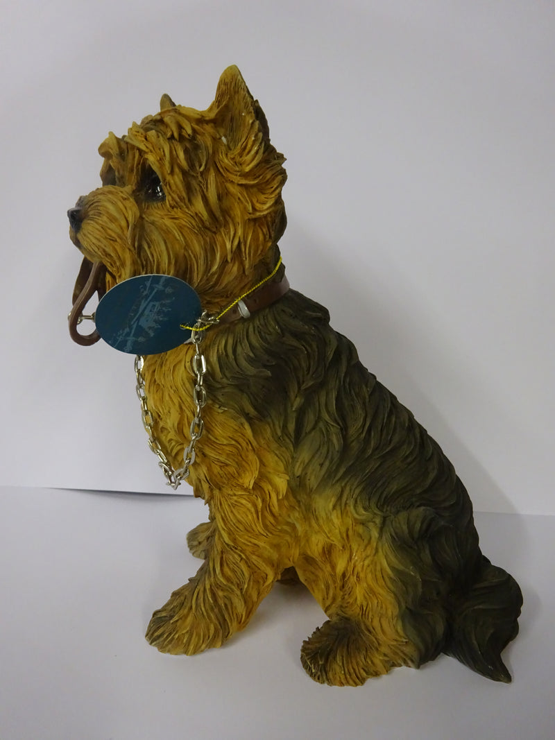Sitting Yorkshire Terrier