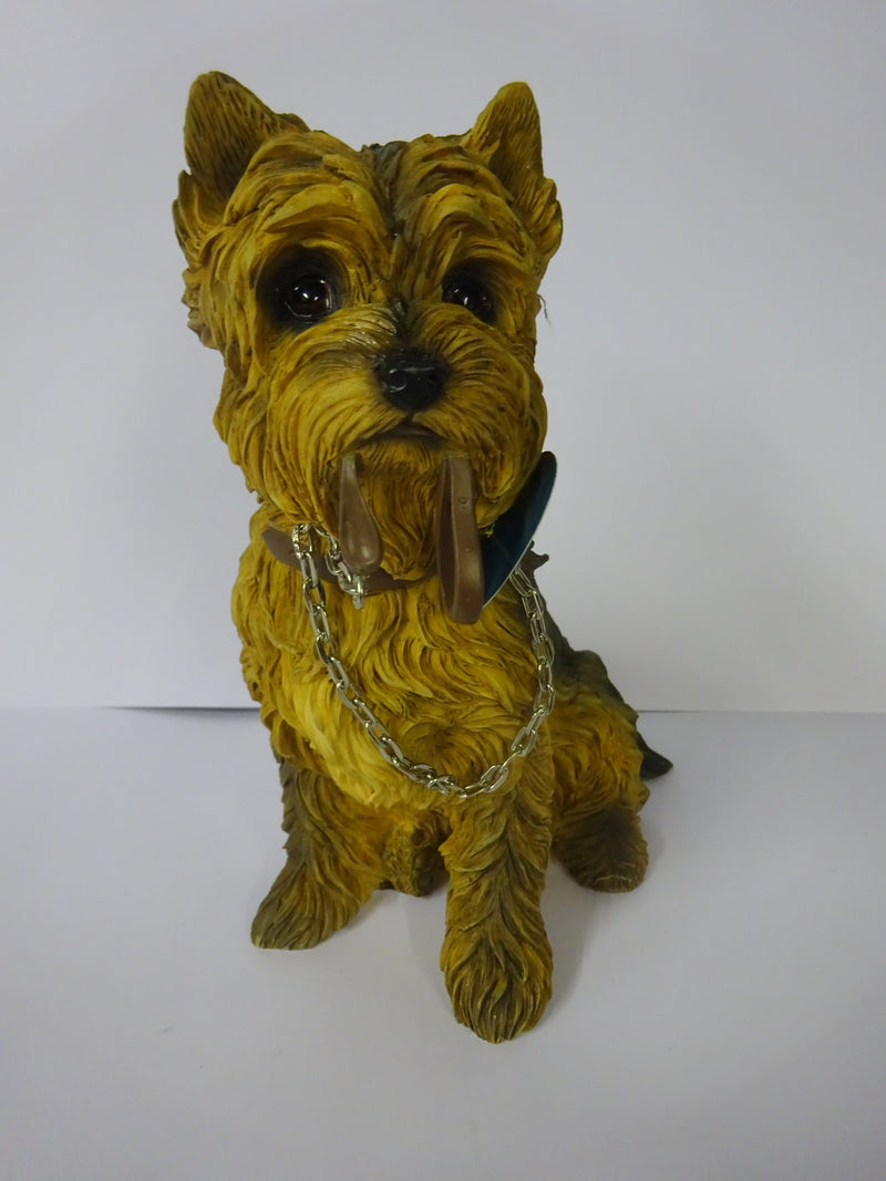 Sitting Yorkshire Terrier