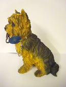 Sitting Yorkshire Terrier