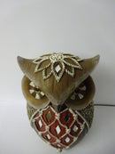 Brown Owl with Mirror detail by Leonardo