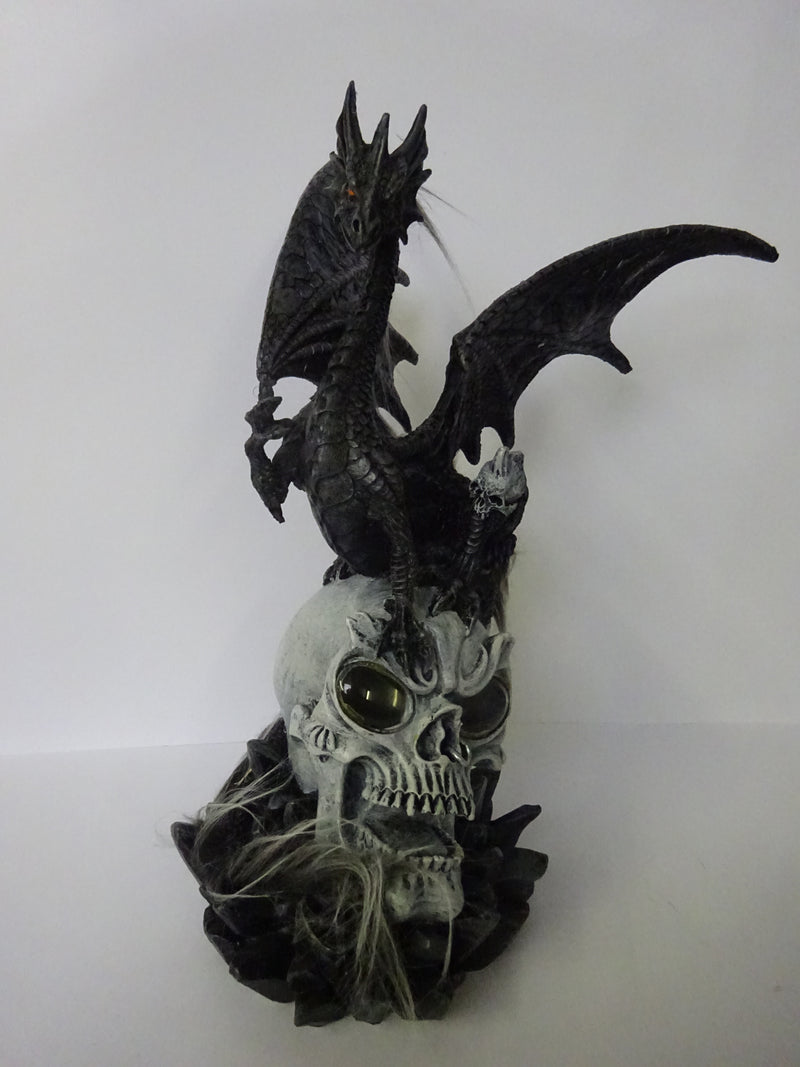 Dragon & Skull