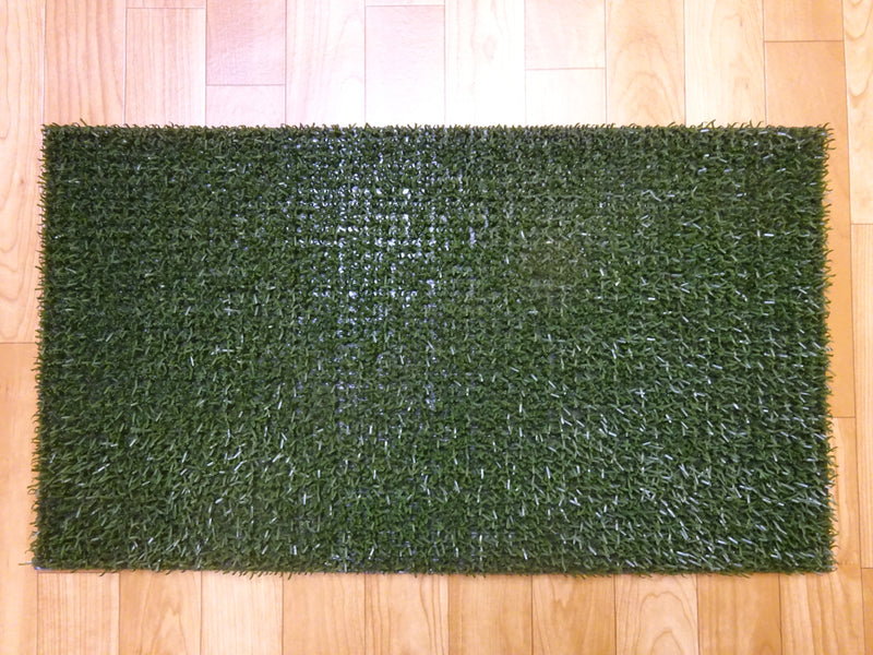 Astroturf Green Door Mat Indoor/Outdoor