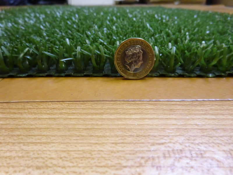 Astroturf Green Door Mat Indoor/Outdoor