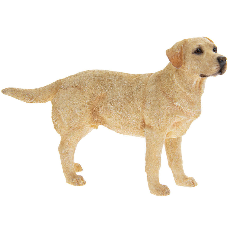 Labrador Dog Standing Ornament Figurine Realistic Boxed Gift Leonardo collection