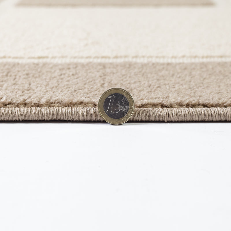 Visiona Beige