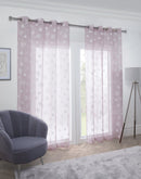 Blush Whisper Eyelet Voile Panel